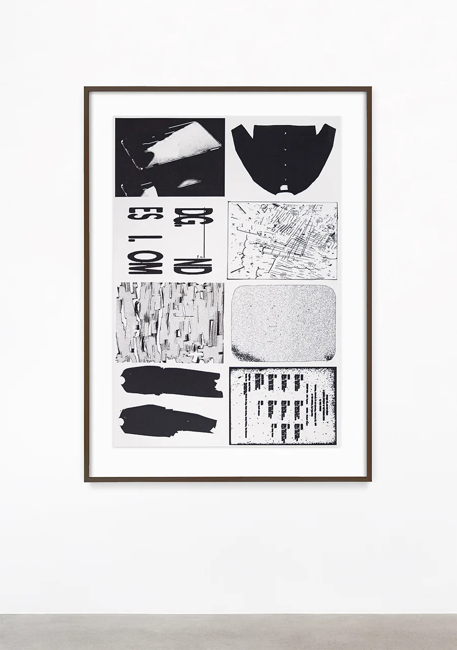 Ryan Gerald Nelson, Palais en Passant, Silkscreen print on archival paper