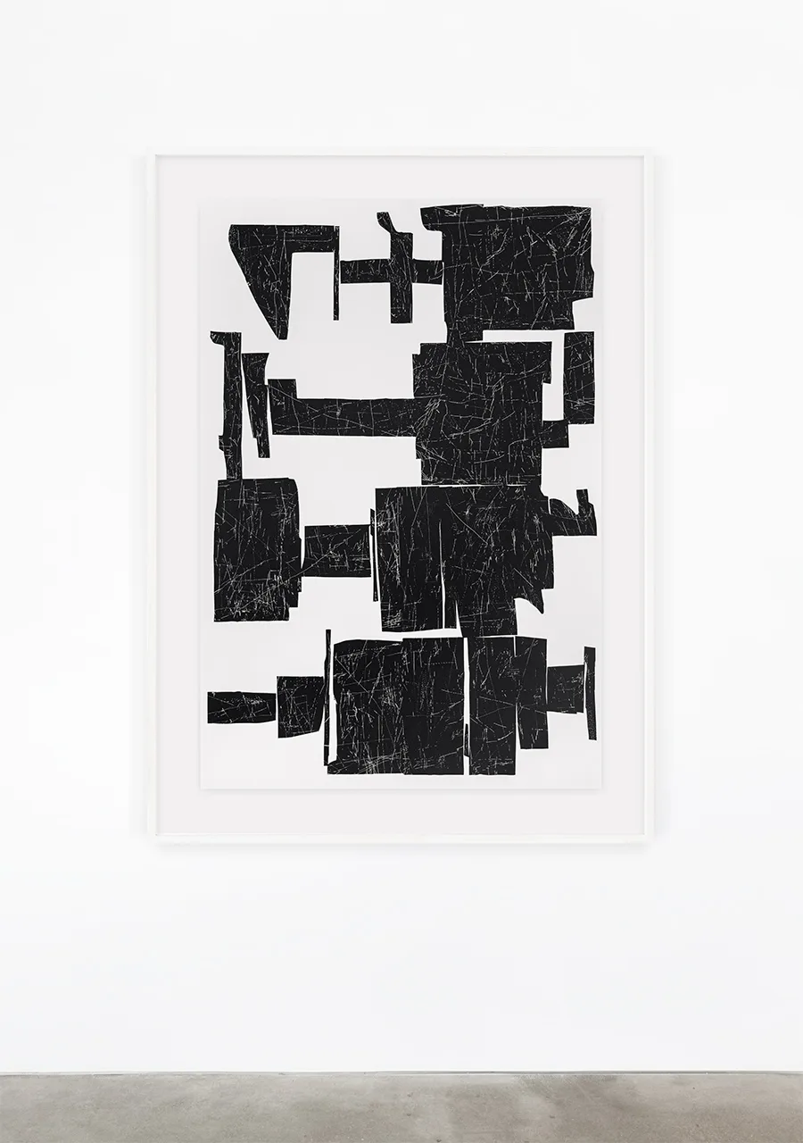 Ryan Gerald Nelson, Showing as a form of disguising, Silkscreen print on archival paper