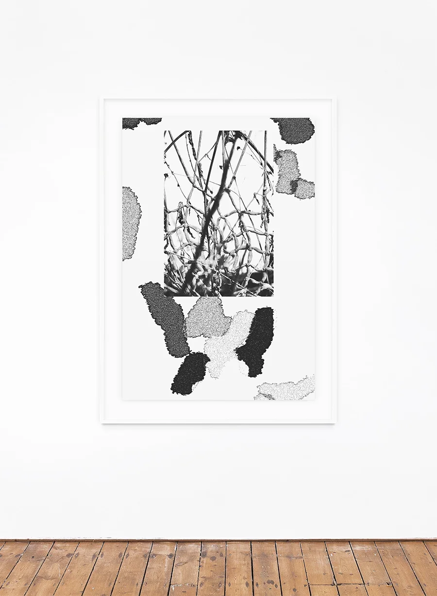 Ryan Gerald Nelson, Abraded, Silkscreen print on archival paper